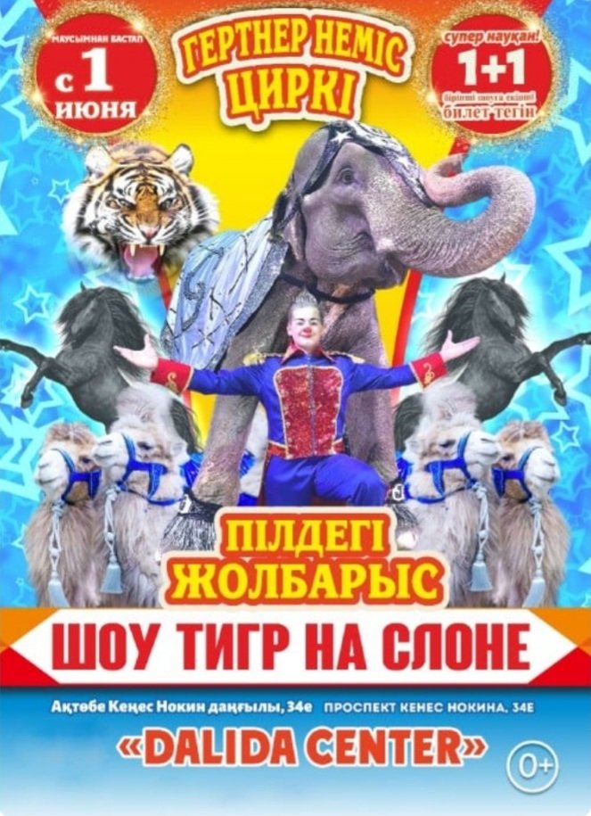 Цирк Гертнер. Шоу тигр на слоне в Актобе