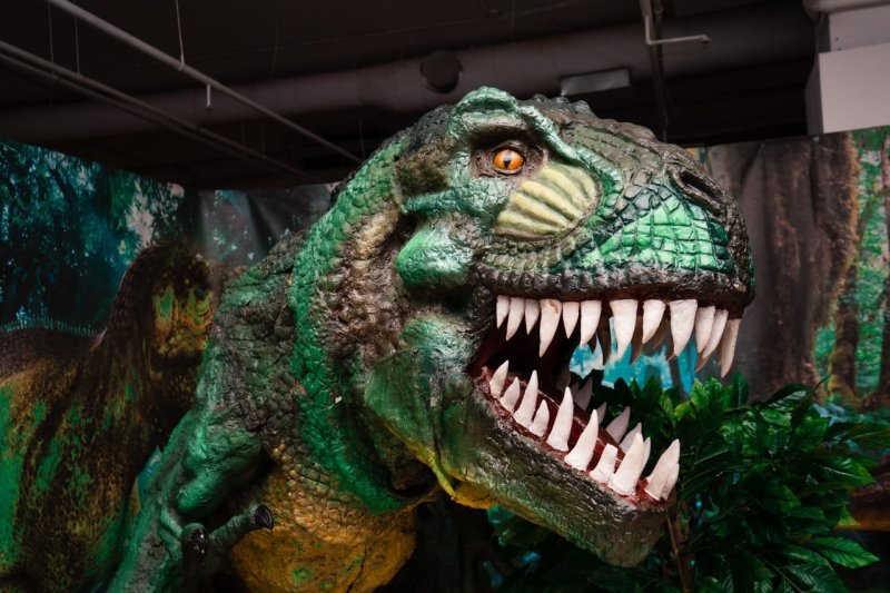 Выставка "По следам динозавров"