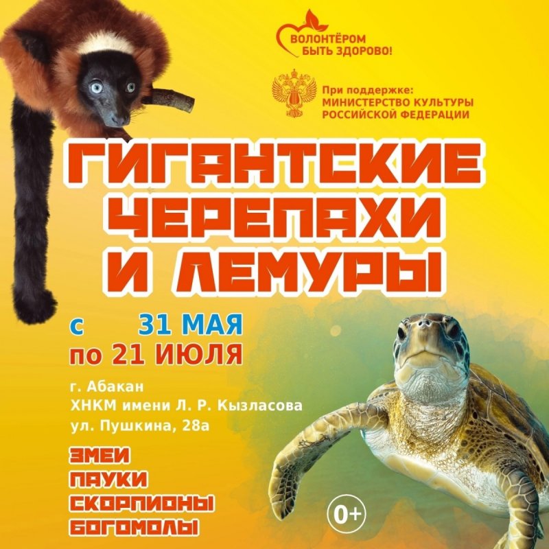 Выставка "Гигантские черепахи и лемуры"