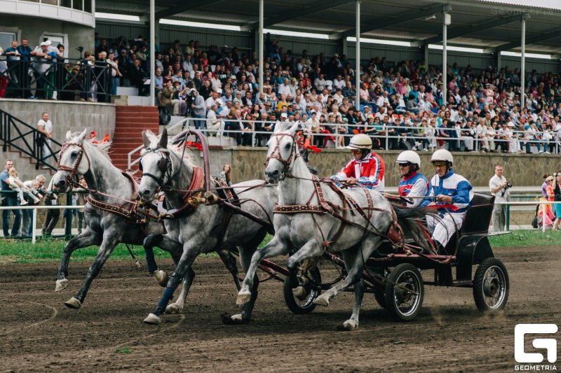 Фестиваль конного спорта «Тройка на ипподроме» 🐎