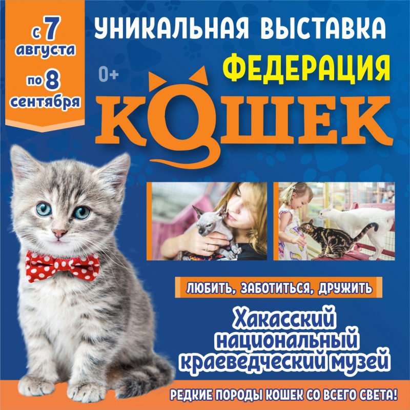 Выставка "Федерация кошек"