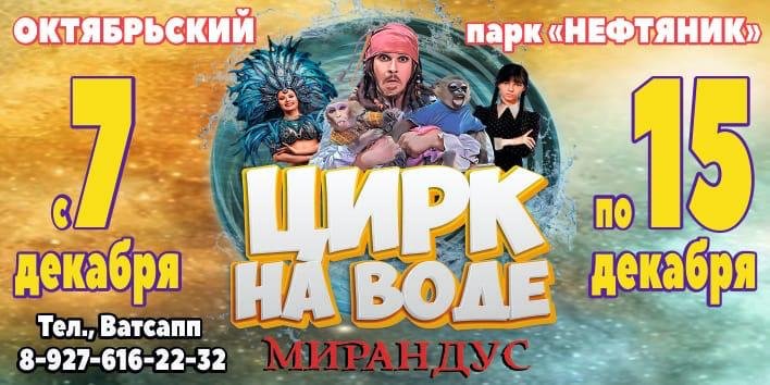 Цирк на воде "Мирандус" в Октябрьском
