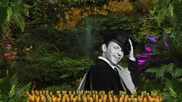 Магия свечей. Романтический джаз в Оранжерее