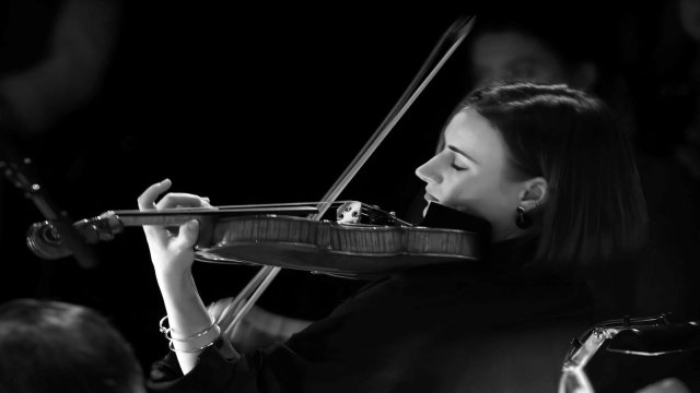 Premier Quartet: Вайнберг, Корнгольд