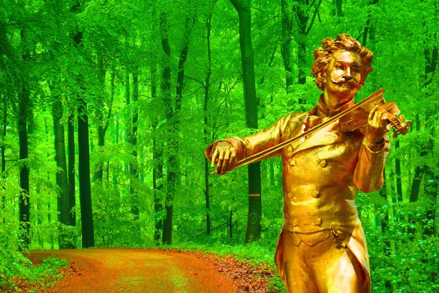 Штраус-гала. Сказки Венского леса