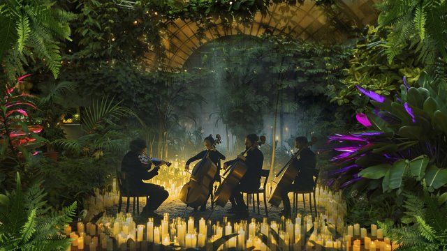 Магия Свечей. «От Баха до Beatles» в Оранжерее