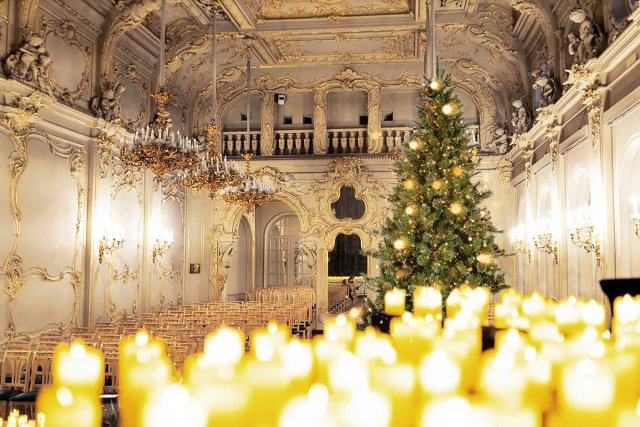 От Травиаты до Щелкунчика при свечах. Новогодний концерт с экскурсией по дворцу