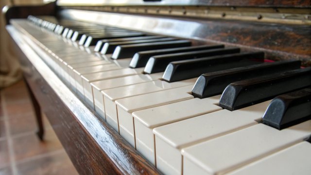 Polly Jane | Полина Шараева