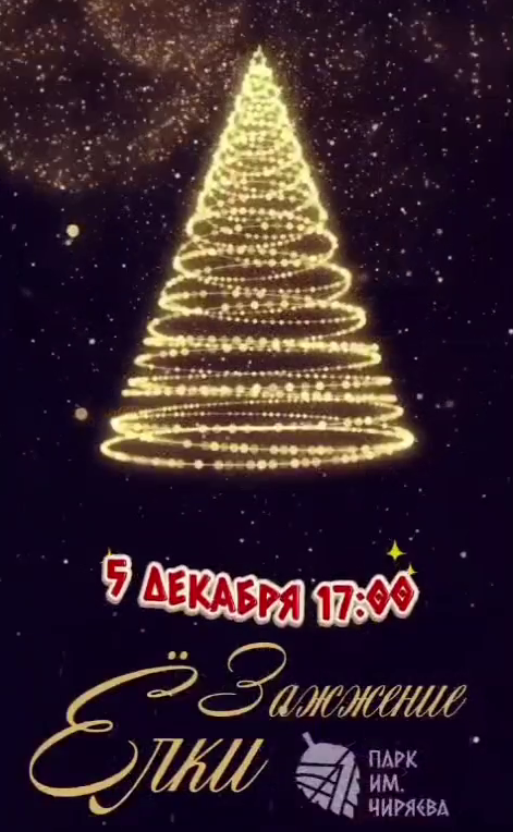 Зажжение ёлки в парке им.Чиряева