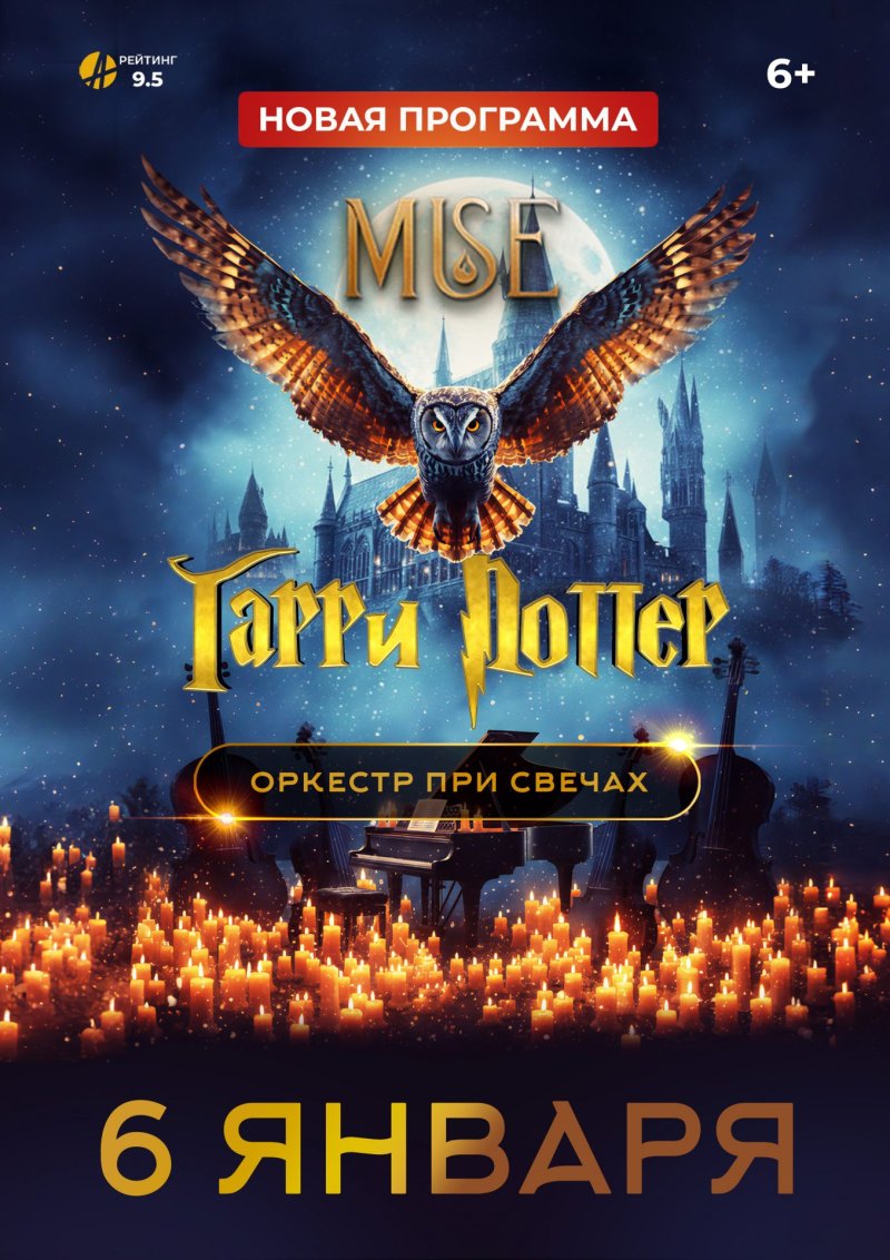 Оркестр MUSE «ГАРРИ ПОТТЕР»