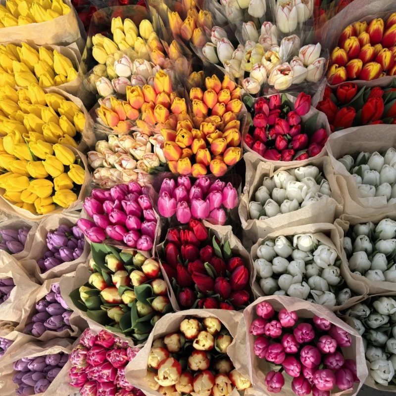 В Азове начала работу цветочная ярмарка.