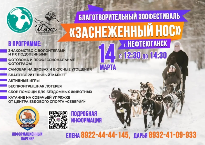 фестиваля «Заснеженный нос» 