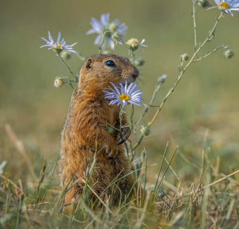 Фотовыставка «Природа - мир нашей души»
