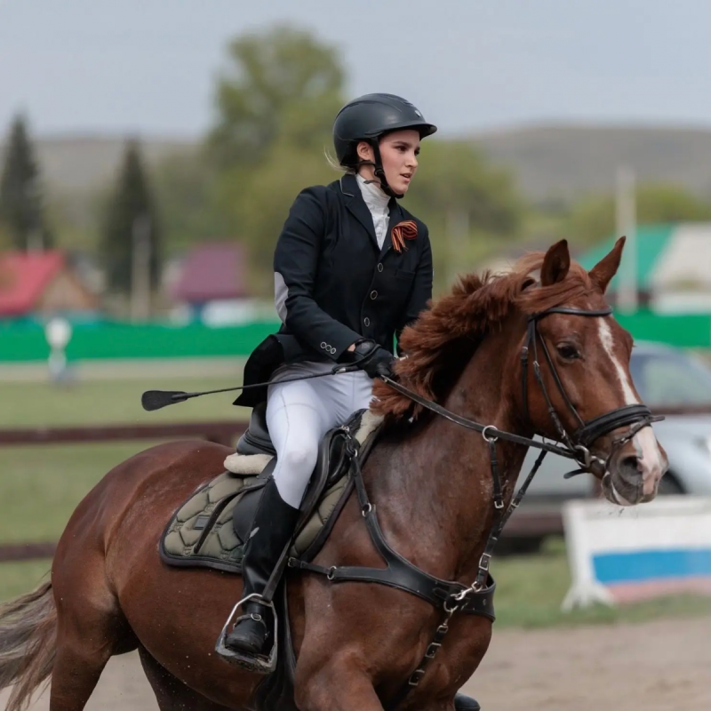 Соревнования посвящены 81-й годовщине Победы в Великой Отечественной Войне.
