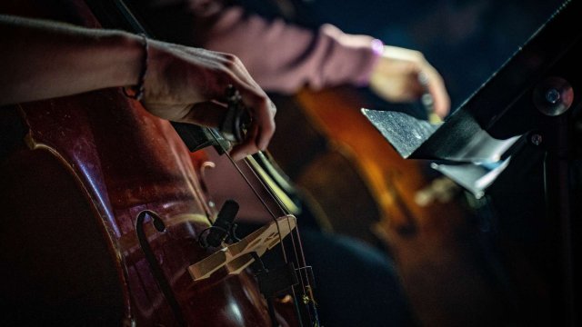 Sinteza Orchestra. Караоке с оркестром