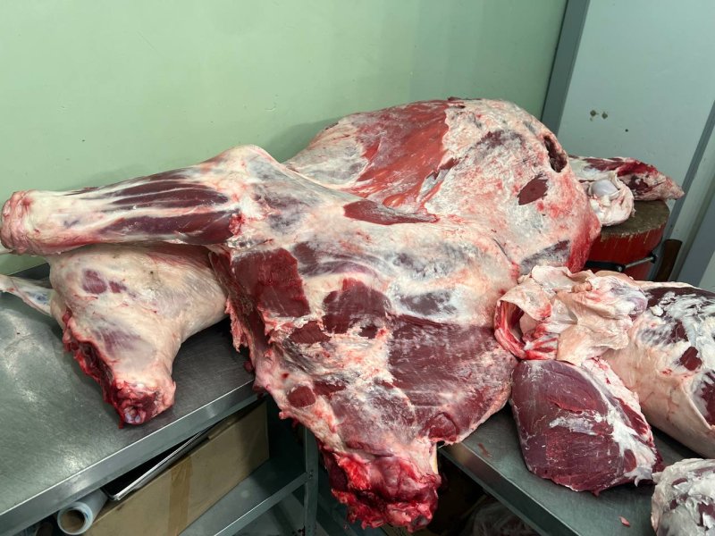 Баракат Халяль