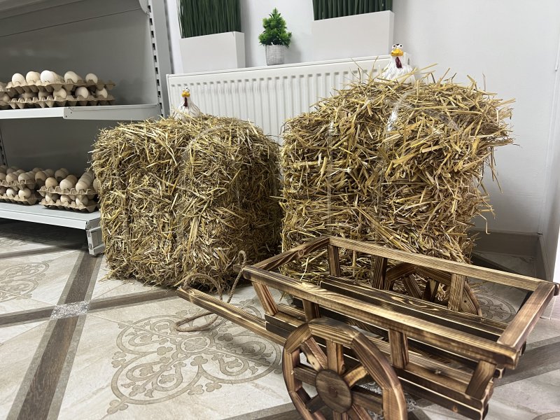 Фермерская лавка Яйцо