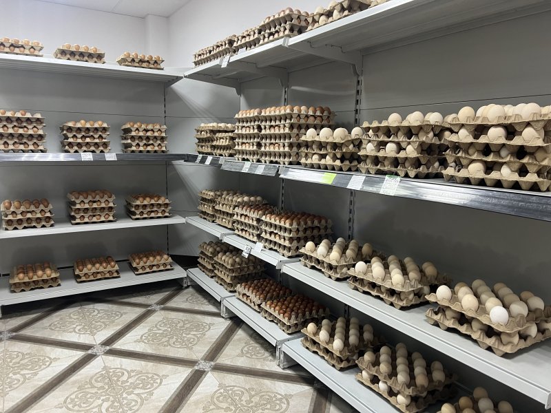 Фермерская лавка Яйцо