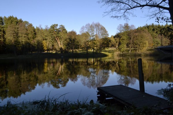 Санаторий "Фита" Sanatorium "Fita"