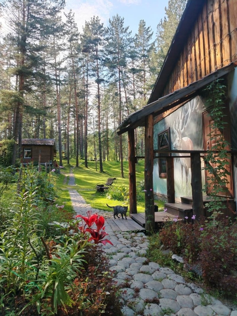 РАНЧО 19 - Верёвочный парк "ХОДОКИ"