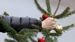 Как утилизировать елку искусственную и живую после новогодних праздников