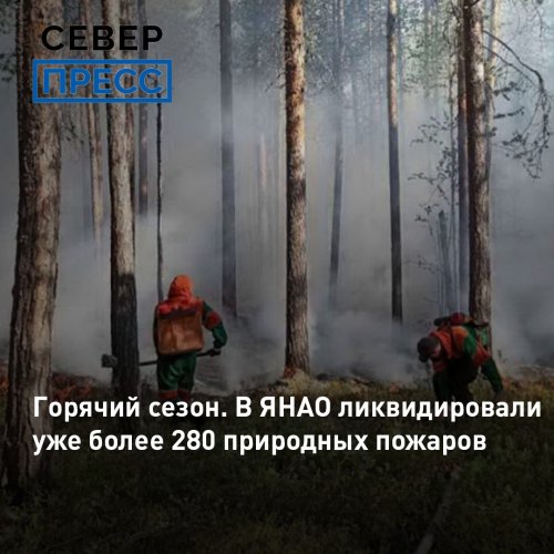 Природных пожаров на Ямале не зарегистрировано