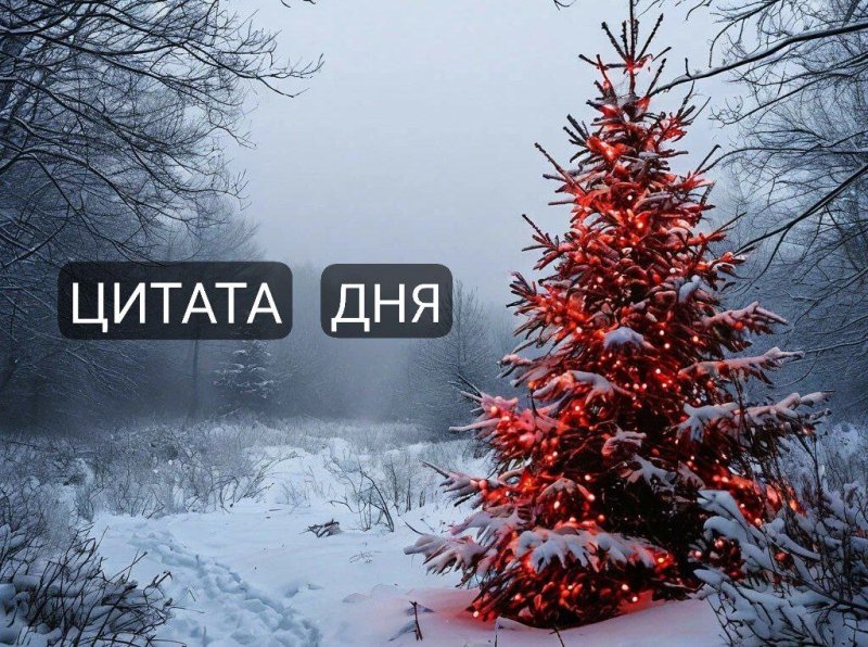 ЦИТАТА ДНЯ 