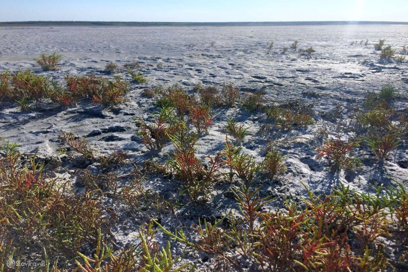 Мобильный интернет МегаФона стал быстрее на ставропольском «Мертвом море»