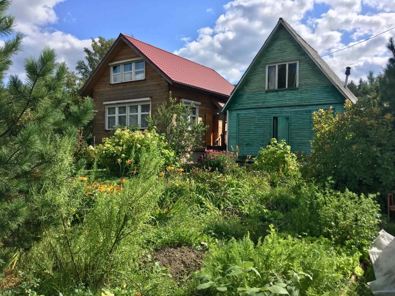 Покровка вышла на скорости 100 Мбит/с