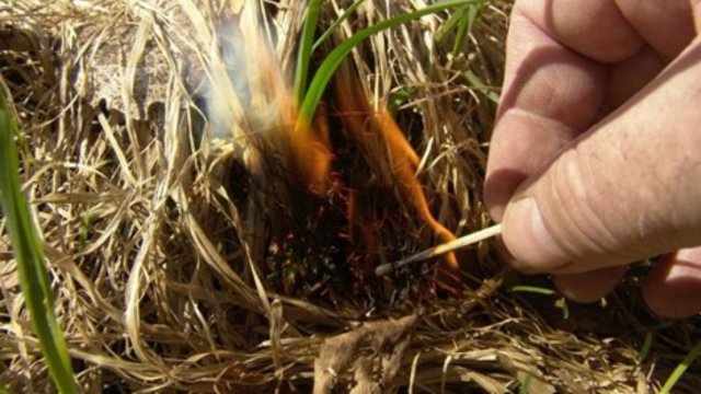 С апреля повышается вероятность ландшафтных (природных) пожаров