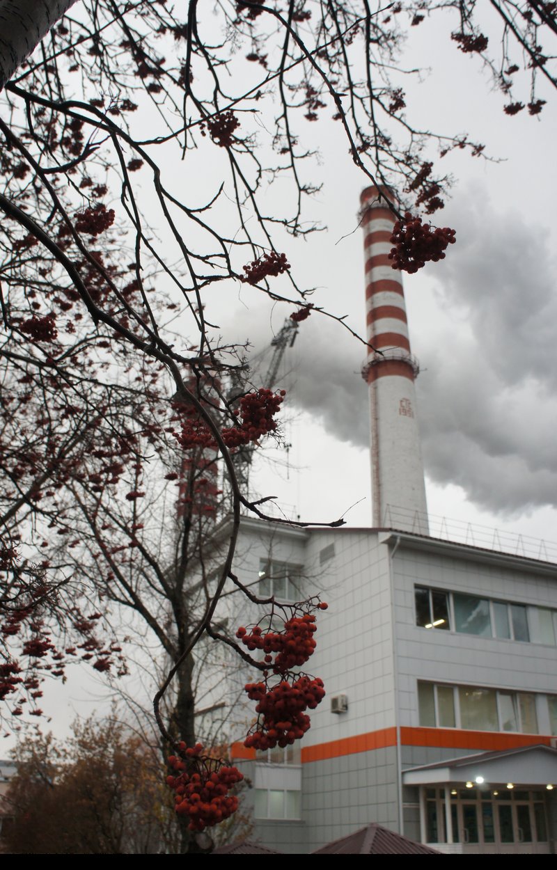 Энергетики Томской области отмечают профессиональный праздник