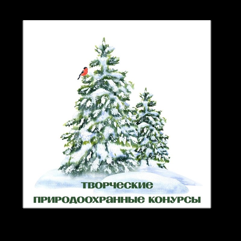 В Томской области стартуют творческие природоохранные конкурсы