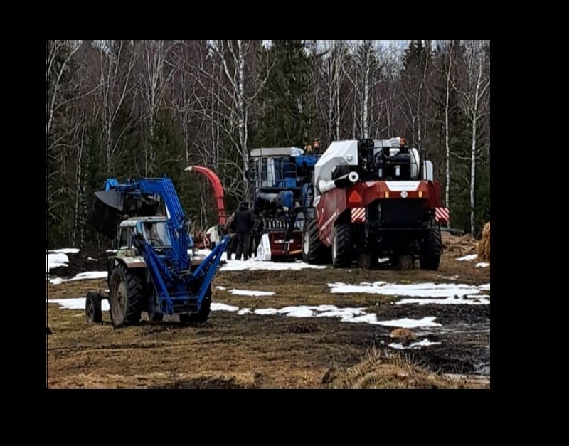 Фермеры Томской области получили более 80 миллионов рублей на развитие