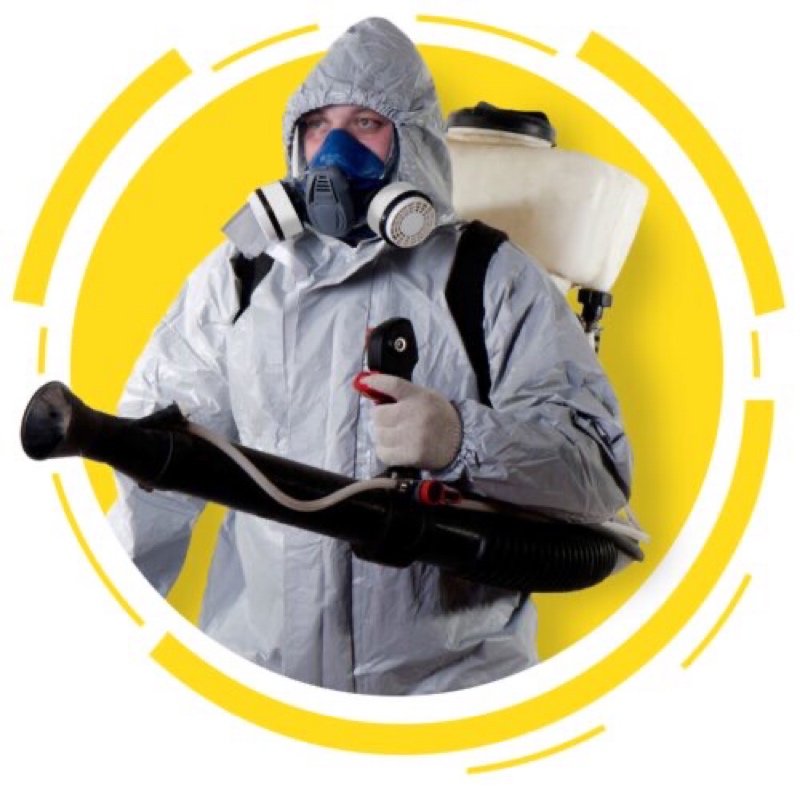 СЭС ДЕЗИНФЕКЦИЯ