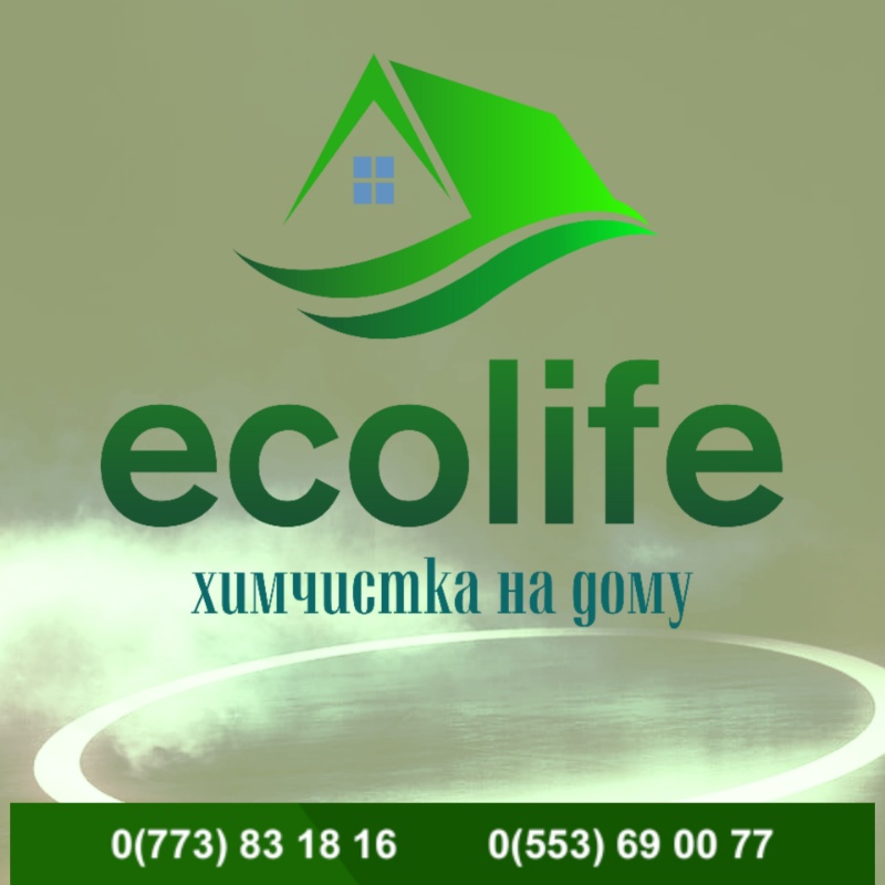 Ecolife-ximchistka