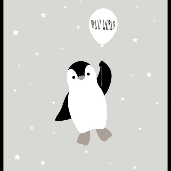 Pingvi_nini