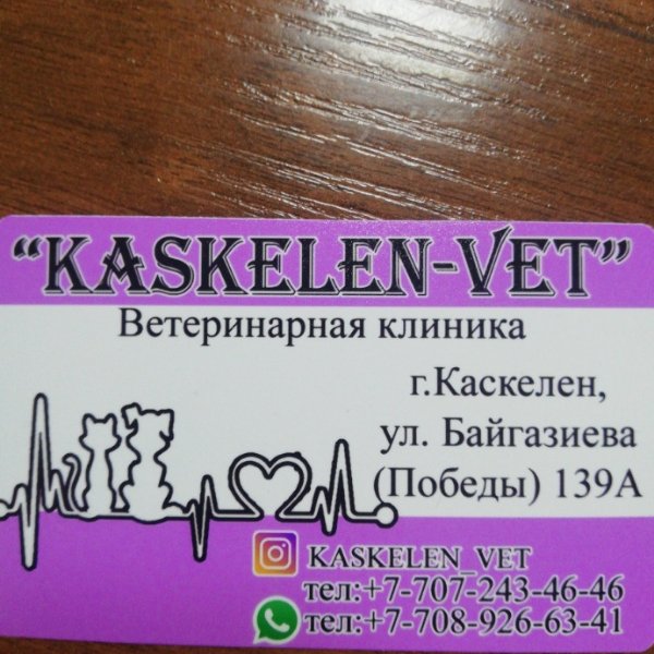 KASKELEN-VET,Ветеринарная клиника,Каскелен, Карасай
