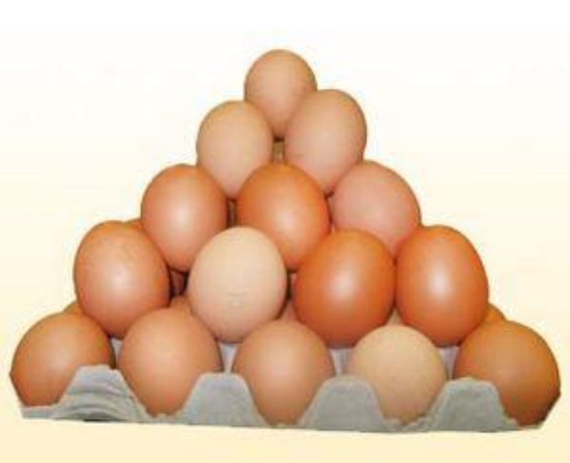 Яйца Куриные,Собственное производство,Иркутск