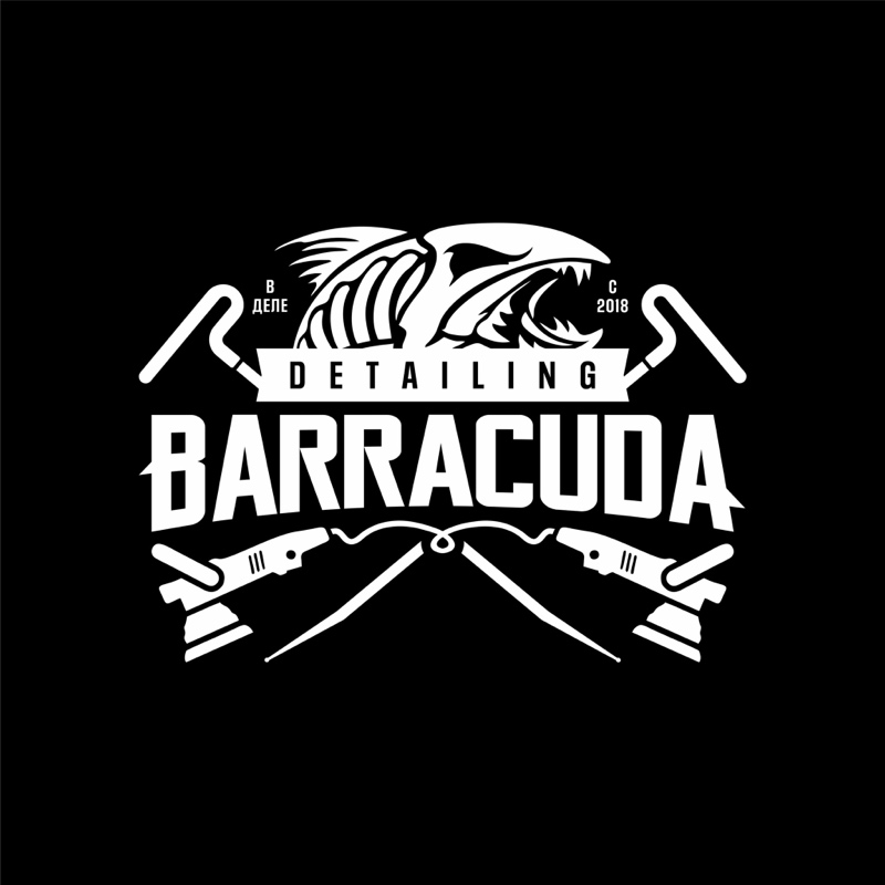 Barracuda Detailing