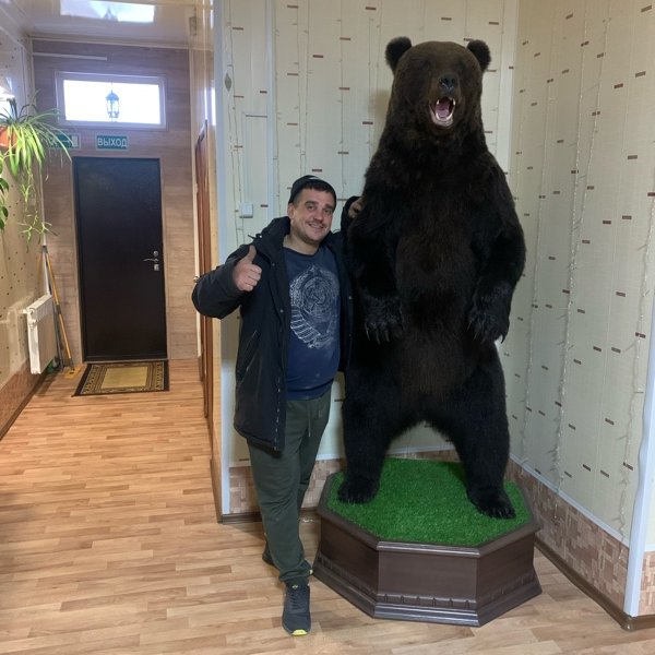 ИП Золотухин 