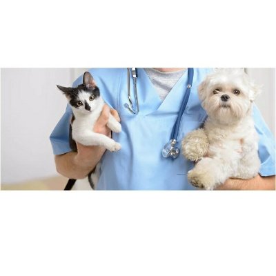 Ветеринар Евгений Викторович