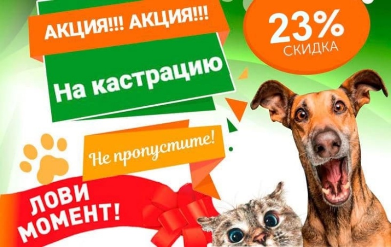 Внимание Акция от ветеринарной клиники "ВетЗооСервис"! 