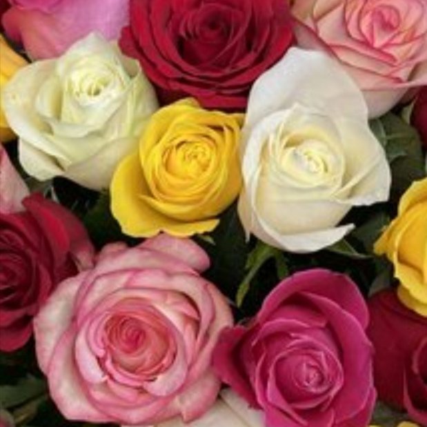 Букет из 25 Премиум роз 4500₽ от Цветы, букеты на заказ Цветочная лавка