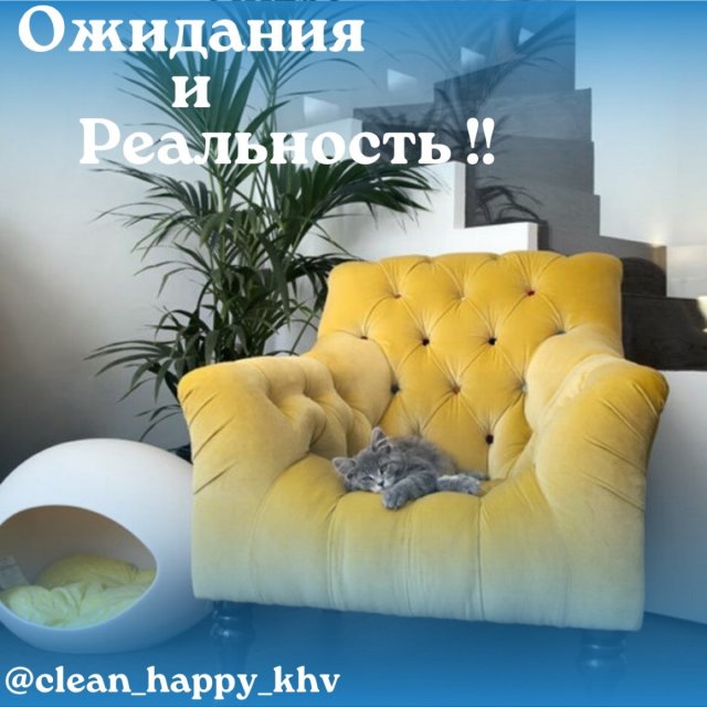 Химчистка мебели г.Хабаровск