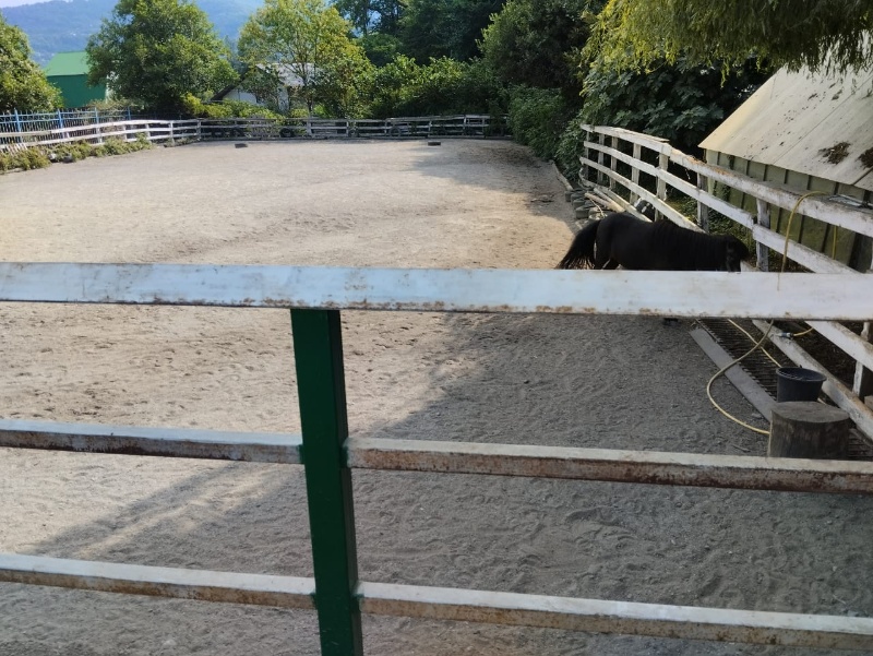 Конный клуб Гусар