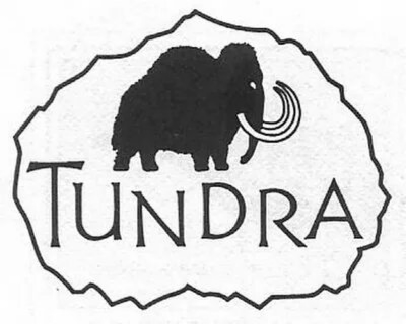 логотип компании Тундра