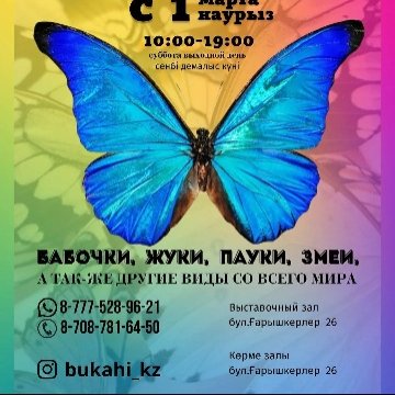 Вика Малярова