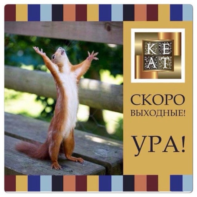 Пивбар Кеат на западном обходе 