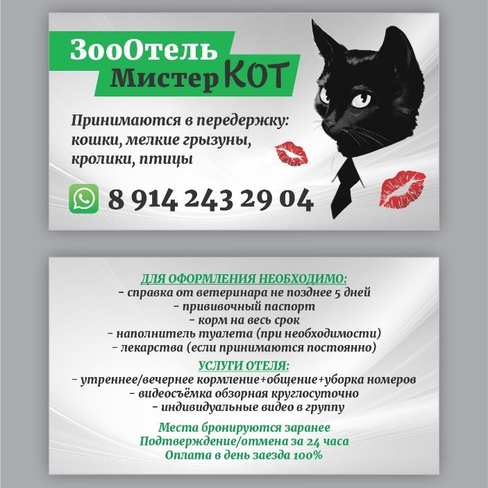 ЗооОтель Мистер Кот