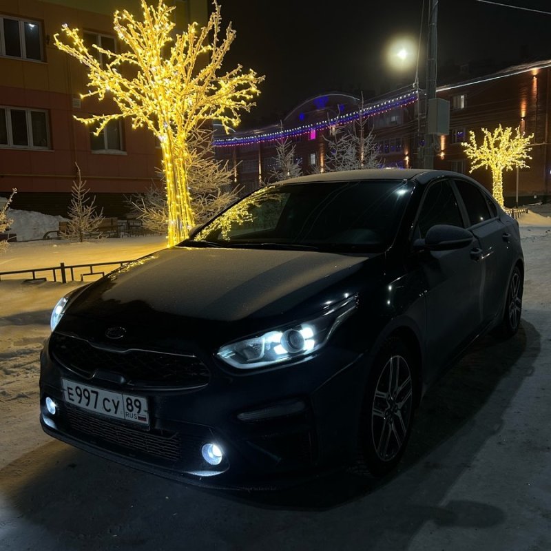 Пассажирские перевозки 